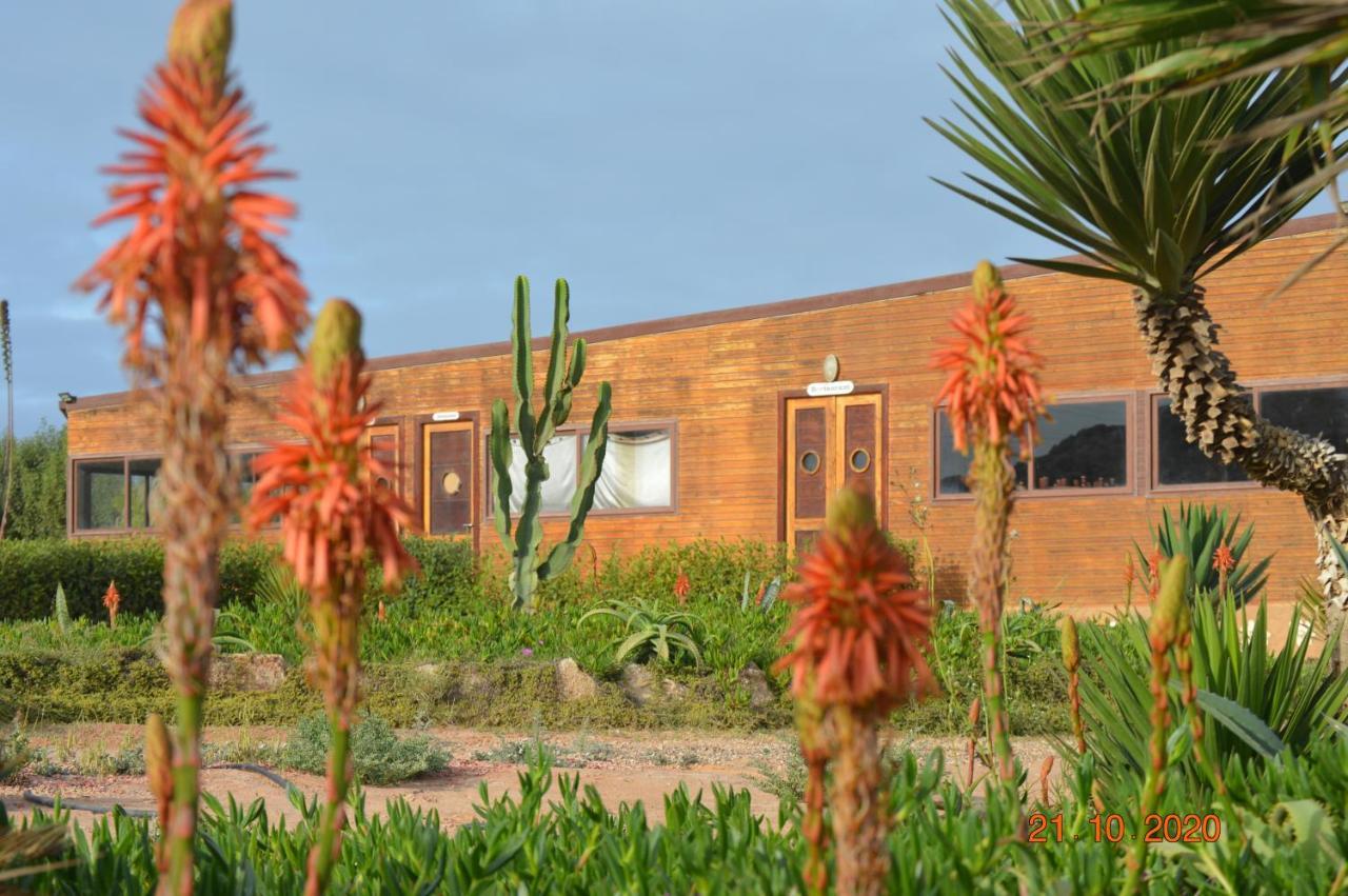 Dakhla Kitesurf World Hotell Eksteriør bilde